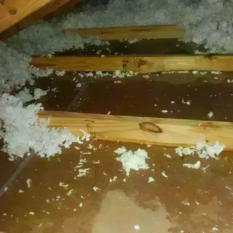 Attic Water Damage in Wiscasset, ME